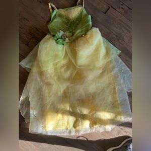 Disney tiana costume